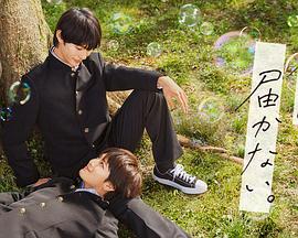 南阳网站关键词优化公司